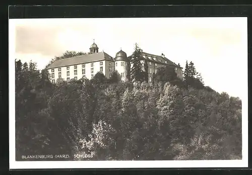 AK Blankenburg a. H., Ansicht vom Schloss