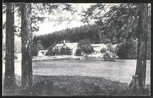 AK Braunlage /Harz, Waldmühle