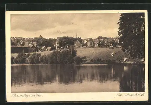 AK Braunlage /Harz, Am Gondelteich