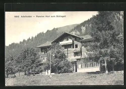 AK Adelboden, Pension Hari zum Schlegeli