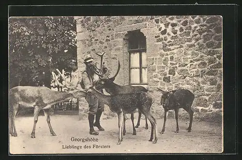 AK Thale, Gasthaus Georgshöhe, Lieblinge des Försters