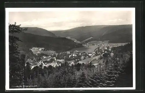 AK Herrenalb im Schwarzwald, Totalansicht der Ortschaft im Tal