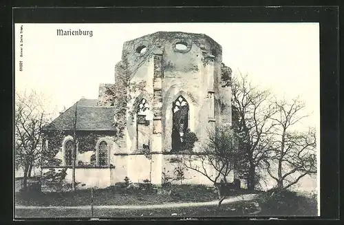 AK Alf a.d.M., Partie an der Ruine Marienburg