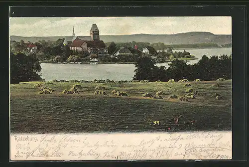 AK Ratzeburg i.L., Kühe auf der Weide, Blick zur Kirche in der Stadt