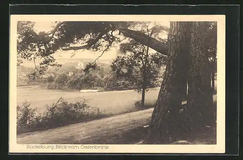 AK Bückeburg, Blick vom Osterbrink