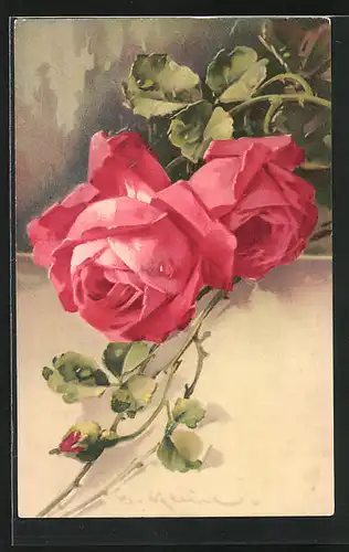 Künstler-AK Catharina Klein: Rosenblüten in voller Pracht