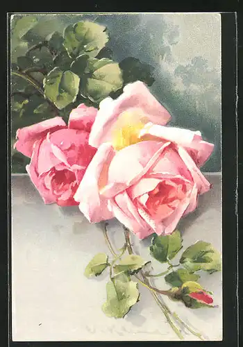 Künstler-AK Catharina Klein: rosa farbene Rosenblüten