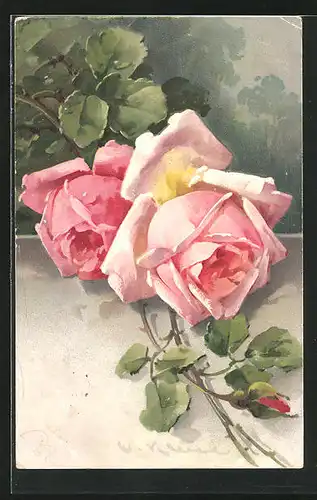 Künstler-AK Catharina Klein: Rosenpflanze mit zwei rosafarbenen Blüten
