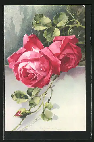 Künstler-AK Catharina Klein: rot farbene Rosenblüte in voller Pracht