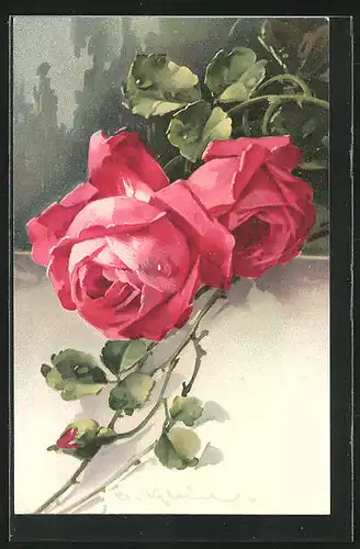 Künstler-AK Catharina Klein: eine Rosenpflanze in voller Blüte