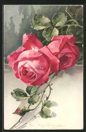 Künstler-AK Catharina Klein: eine Rosenpflanze mit zwei Blüten