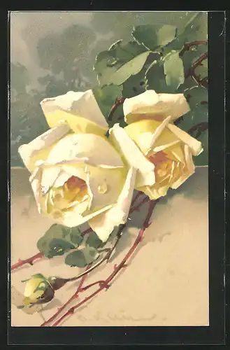 Künstler-AK Catharina Klein: gelbe Blütenköpfe einer Rosenpflanze