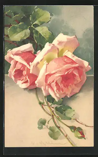 Künstler-AK Catharina Klein: Rosenpflanze mit zwei rosafarbenen Blüten