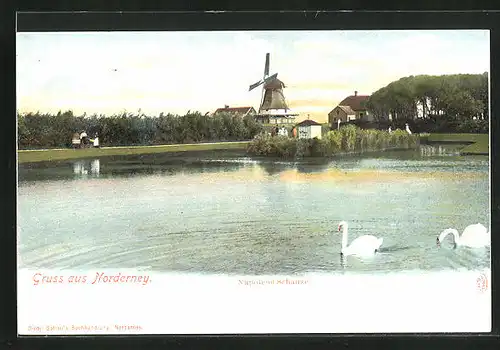 AK Norderney, Napoleon Schanze, Schwanensee
