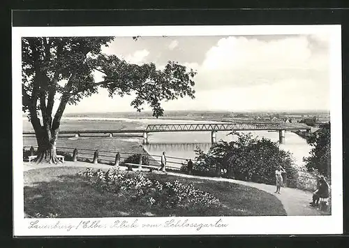 AK Lauenburg / Elbe, Blick vom Schlossgarten