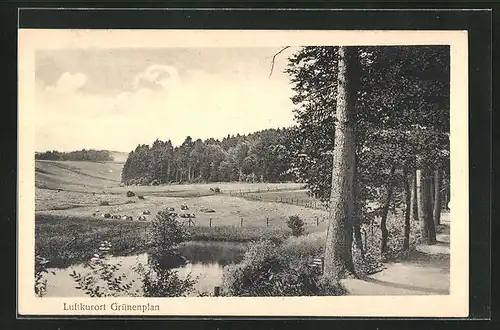 AK Grünenplan, Landschaft im Sonnenschein