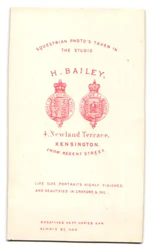Fotografie Bailey, Kensington, 4 Newland Terrace, Portrait vornehme Dame mit dicker Perlenkette
