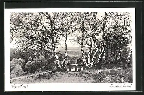 AK Egestorf, Waldpartie mit Birkenbank