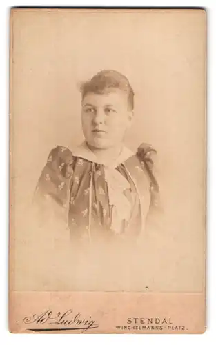 Fotografie A. Ludwig, Stendal, Winckelmanns-Platz, Portrait beleibte Dame im Kleid mit Halstuch