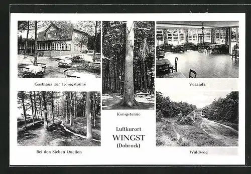 AK Wingst, Ortsansichten mit Königstanne, Waldweg und Gasthaus