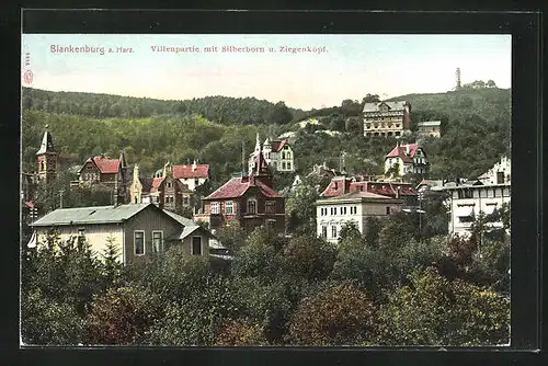 AK Blankenburg a. Harz, Villenpartie mit Silberborn u. Ziegenkopf