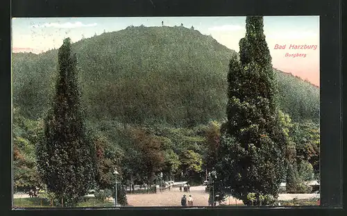 AK Bad Harzburg, Burgberg mit Passanten