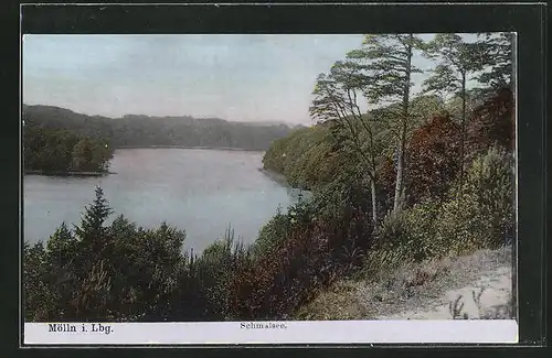 AK Mölln /Lauenburg, Schmalsee vom Wald aus