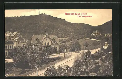 AK Blankenburg /Harz, Der Ziegenkopf