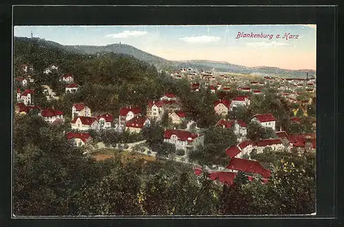 AK Blankenburg /Harz, Ortsansicht