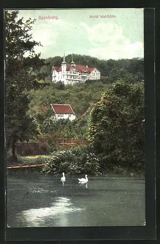 AK Ilsenburg /Harz, Hotel Waldhöhe