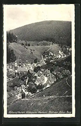 AK Wildemann /Harz, Blick vom Hohen Berg auf den Ort