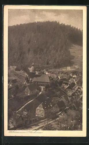 AK Wildemann /Harz, Ortsansicht aus der Vogelschau