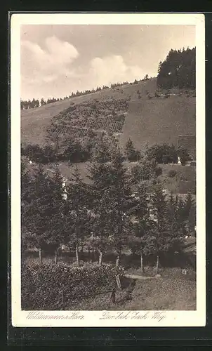 AK Wildemann /Harz, Der Zick-Zack-Weg