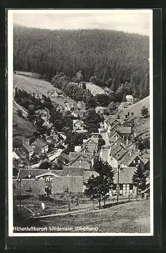 AK Wildemann /Harz, Ortsansicht