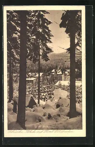 AK Schierke i. H., Hotel Waldfrieden im Schnee