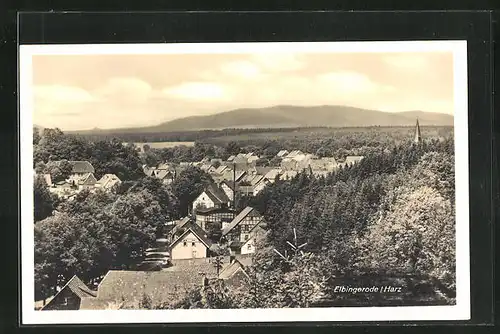 AK Elbingerode /Harz, Teilansicht mit Umgebung