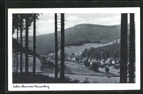 AK Sieber /Harz, Ansicht vom Reuperberg aus