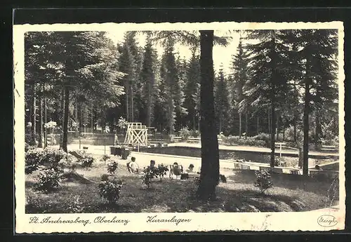 AK St. Andreasberg /Harz, Kuranlagen mit Freibad