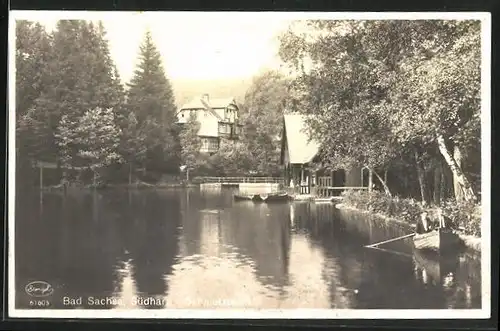 AK Bad Sachsa /Harz, Schmelzteich