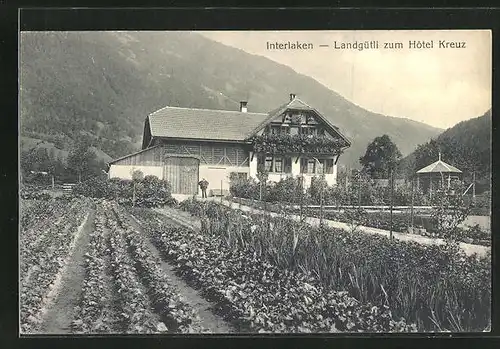 AK Interlaken, Hotel Kreuz mit Landgütli