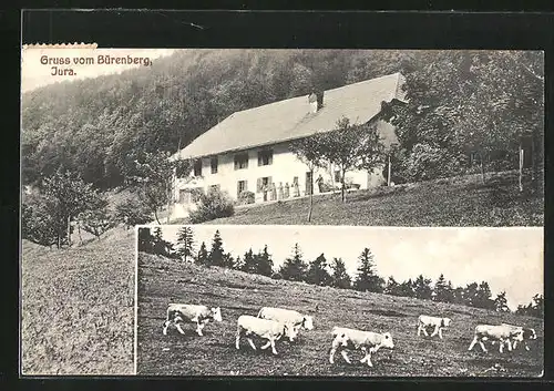 AK Romont, Haus auf dem Bürenberg mit Tierhaltung