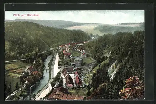 AK Rübeland / Harz, Gesamtansicht aus der Vogelschau