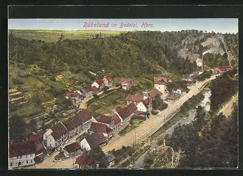 AK Rübeland / Harz, Ortsansicht, Bodetal aus der Vogelschau