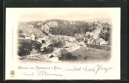 AK Rübeland / Harz, Ortsansicht aus der Vogelschau