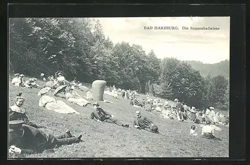 AK Bad Harzburg, Gäste auf der Sonnenbadwiese