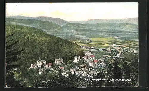 AK Bad Harzburg, Ortsansicht, am Papenberge