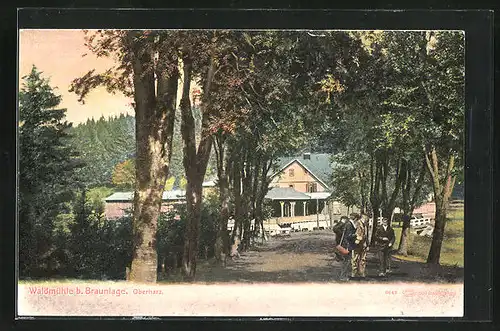 AK Braunlage / Harz, Waldmühle