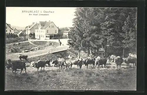 AK Braunlage / Harz, Hotel Jirmerstein