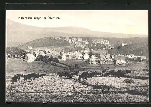 AK Braunlage / Harz, Gesamtansicht