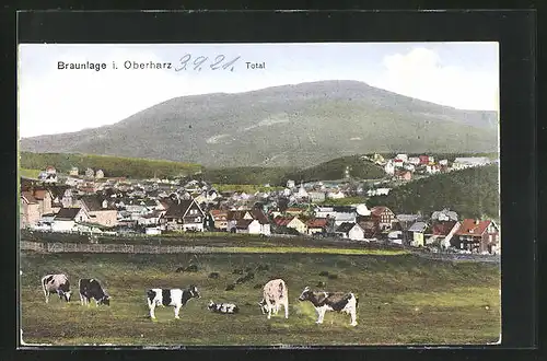 AK Braunlage / Harz, Gesamtansicht